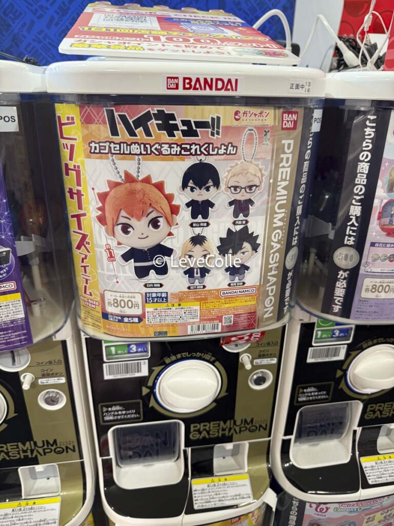 ハイキューセリア